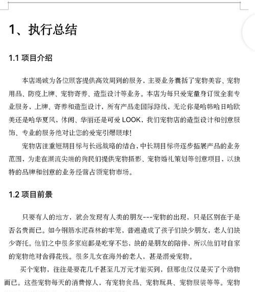 攻克游戏迷关心的创业计划书攻略！（打造成功的游戏创业之路，把握关键要素！）