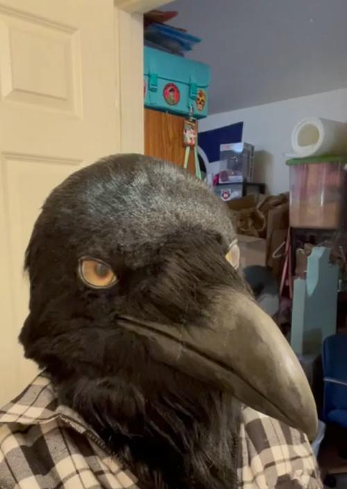 乌鸦面具（掌握乌鸦面具出装攻略，成为无敌之王！）