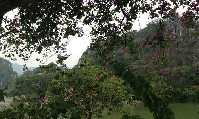 独自征服野人谷（一个人也能征服最强敌人！）