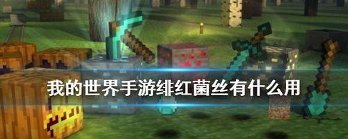 如何在我的世界菌丝,菌丝生成攻略，打造蘑菇生态圈