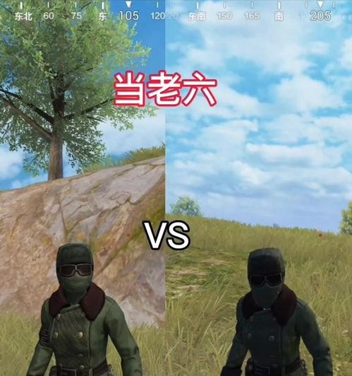 怎么样和平精英当老六,掌握隐身技巧，成为伏地魔高手