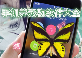 在手机屏幕上出现动物的软件 手机屏幕养宠物软件大全