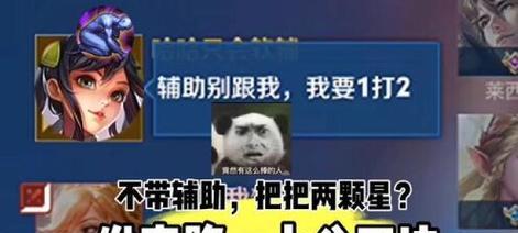 《浣熊不高兴》射手追踪流攻略（掌握射手技巧，成为最强浣熊猎人）