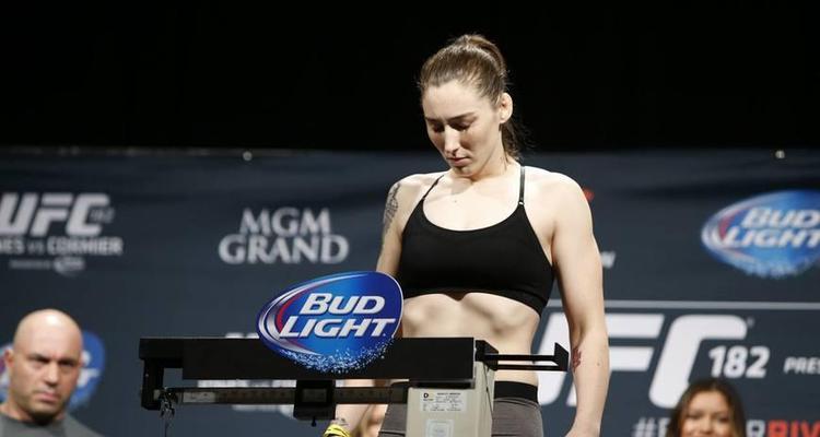 《跨越星弧米莎转职攻略》（职业选择、属性加点、技能选择、装备搭配等详解）