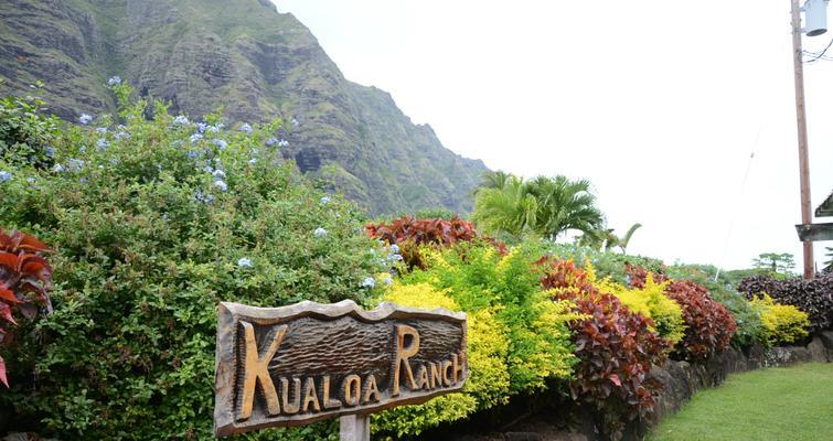 夏威夷劫案游戏攻略（揭秘夏威夷劫案游戏中的犯罪谜题，助你轻松破案！）