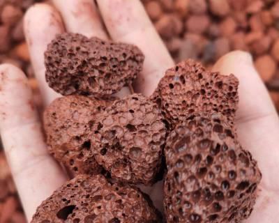 火山石幼龙成就攻略（掌握火山石幼龙培养技巧，打造最强战斗伙伴！）