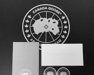 玩转鹅鹅鸭加拿大鹅，轻松获得胜利（从规则到技巧，全面解析游戏玩法）