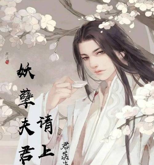 妖孽七夫君攻略指南（解析妖孽七夫君最新攻略技巧，带你玩转古风男神）