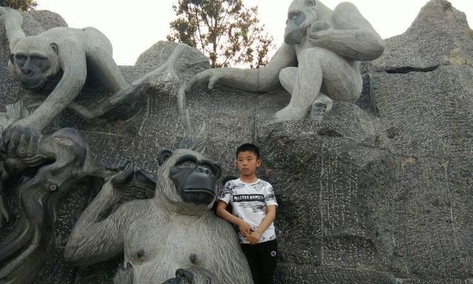 石像动物园攻略（探索石像动物园的神秘，勇敢逃离困境）