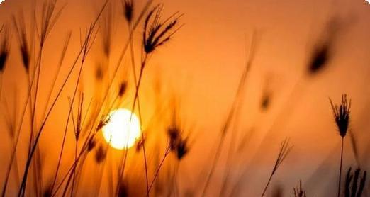 成语小秀才第70关卡答案揭秘