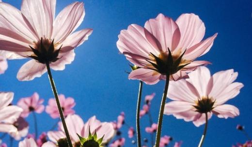 《魔兽天神传说攻略指南》（深入解析游戏技巧，助你成为顶级玩家！）