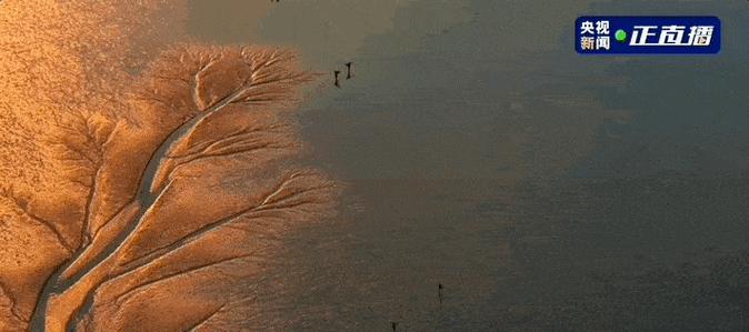 探寻2023风情汇（细味未来的趋势，尽享艺术与创意的盛宴）