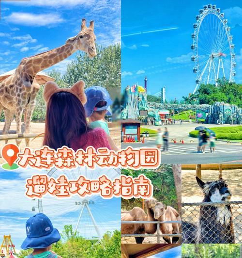 动物园消除战攻略（以动物园消除战为背景，分享打造顶级动物园的关键策略与技巧）