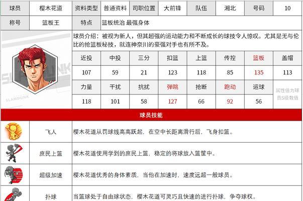 《篮球飞人游戏攻略大揭秘！》（成为篮球游戏的霸主，轻松过关技巧一网打尽！）