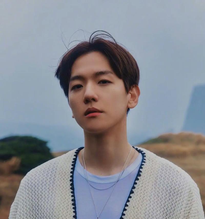 EXO沦陷攻略（用心感受，独家攻略，成为EXO的一员）