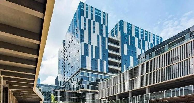 巨基再战江湖攻略（突破困境，重返巅峰）