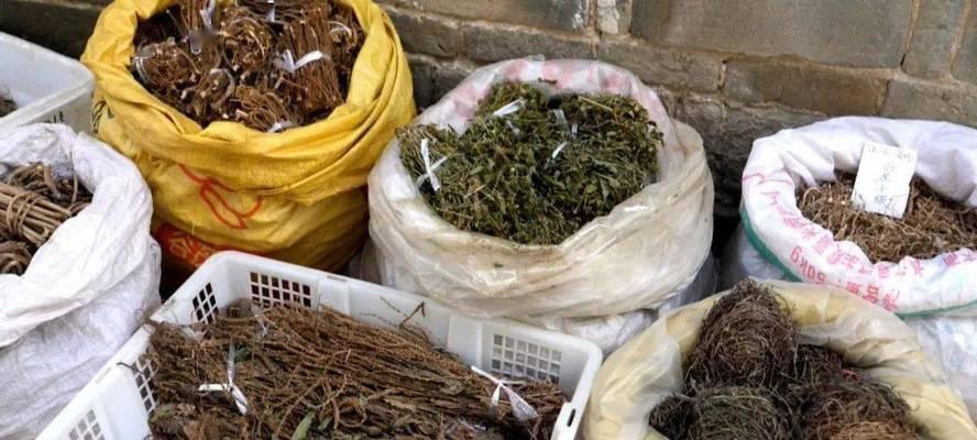 江湖悠悠，安神散配方一览（游戏必备，教你制作江湖悠悠安神散的配方及使用方法）