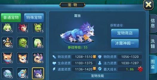 《星辰奇缘技能选择攻略》（解析星辰奇缘中最优秀的技能搭配，助你称霸全球）