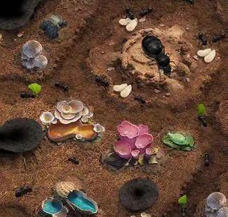 《小小蚁国》搬砖攻略（打造理想的王国，享受成就感与乐趣。）