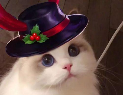 圣诞恋歌出装攻略（揭秘女主名字如何搭配圣诞恋歌风格，打造迷人时尚形象）