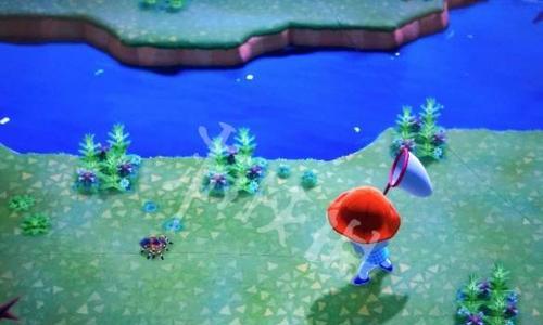 《动物之森》游戏刷狼蛛岛方法详解（轻松掌握，快速升级）