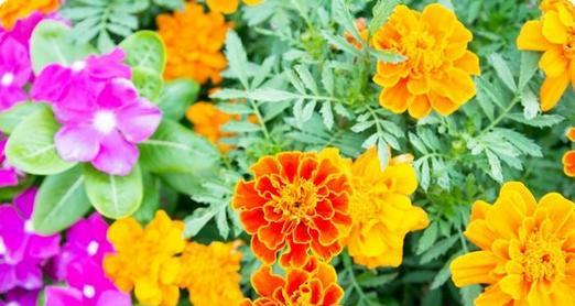 兽王另类出装攻略（剑指巅峰，玩转刀塔战场）