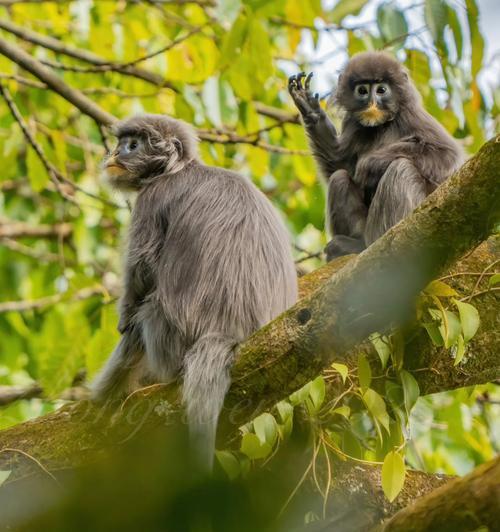 探索永不孤单攻略第6章的关键秘籍（与伙伴并肩作战，迎接无尽冒险的挑战）