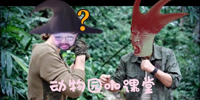 丛林肉搏技能搭配攻略（发挥极致力量，打造无敌霸主！）