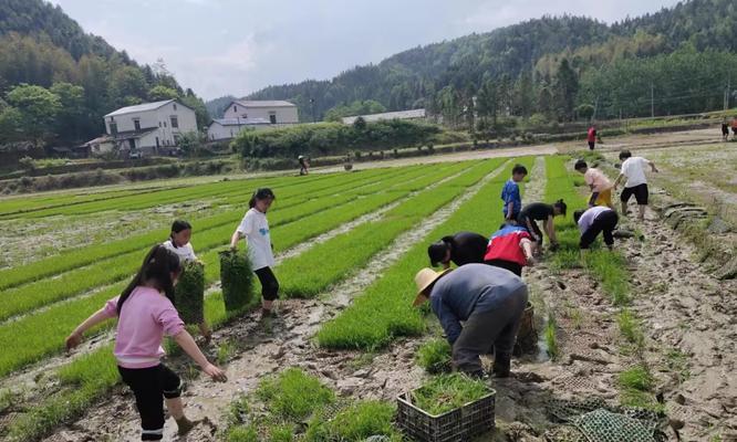《以农夫很忙》游戏攻略（从小农民到大富翁，全面解锁游戏技巧，挑战经营世界！）