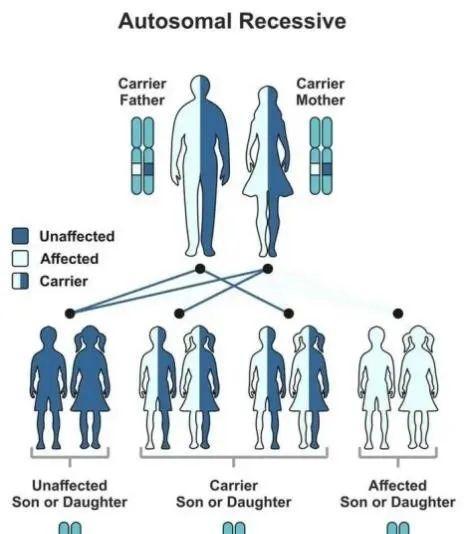母亲3攻略（探索最佳攻略策略，轻松征服母亲3世界）