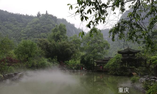 《仙境逍遥技能图鉴攻略》（掌握技能图鉴，成就逍遥仙境之旅）