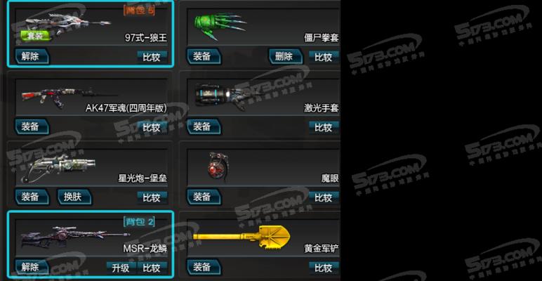 《狼王出装顺序攻略》（打造最强狼王，装备选择绝不含糊！）