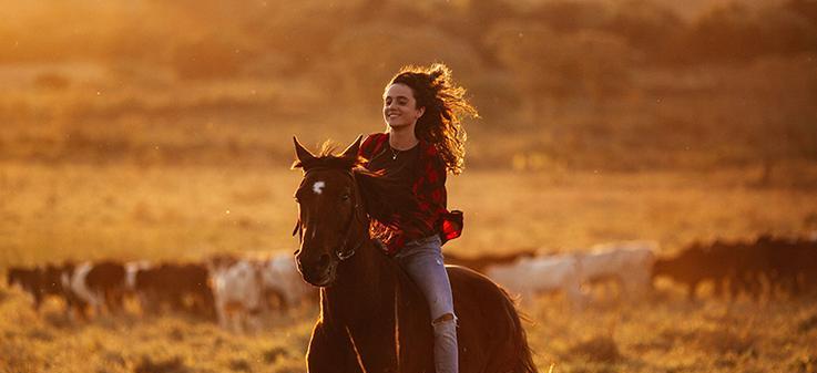 人马新思路出装攻略（精准输出，势不可挡的装备选择！）