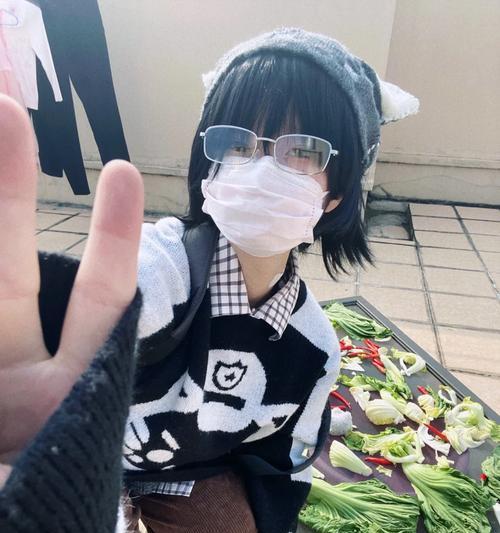 自宅警备员游戏攻略（挑战无止境！成为自宅警备员的必备指南）