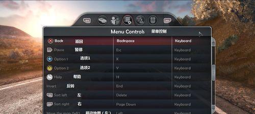 驾驶高手指南（成为高手只需一步之遥，解锁无限乐趣！）