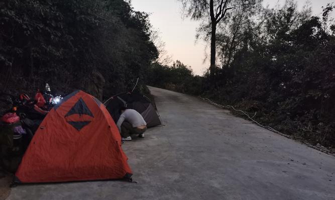 《流浪日记》中怎样得到香烟？（教你如何快速获取流浪日记香烟）
