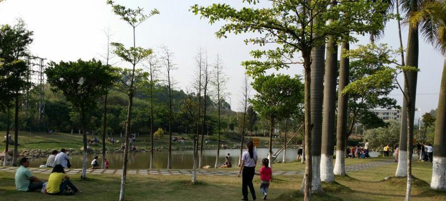 《探秘麒麟山公园游戏攻略》（发掘隐藏关卡、解锁神秘道具，畅游奇幻世界）