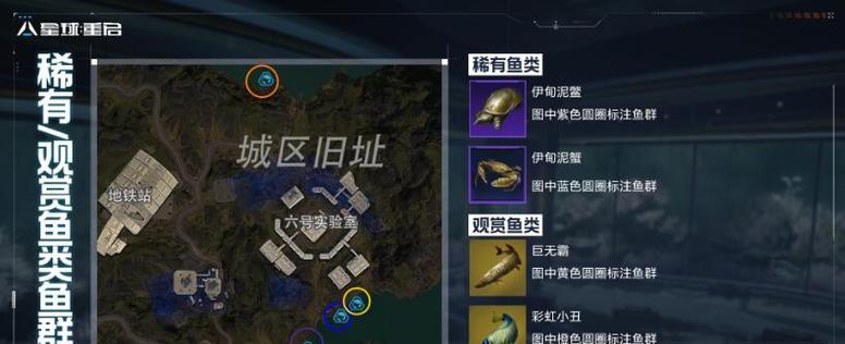 探秘《伊甸之战》游戏中的精神控制卡牌（揭秘精神控制卡牌的用法与危害，以及如何避免成为受害者）