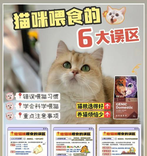 《贪食狗救猫游戏攻略》（用贪食狗的聪明才智来拯救可爱的小猫咪吧！）