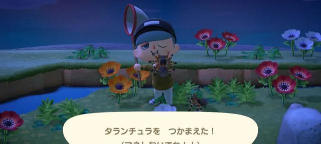 《动物之森》游戏梦番地前往方法介绍（让你轻松畅玩游戏世界）