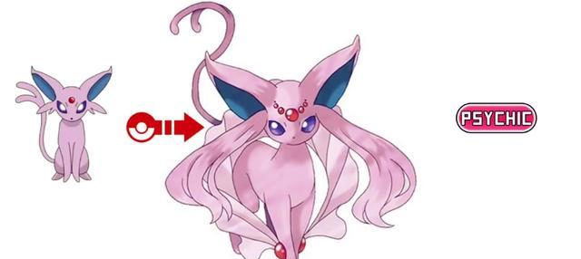 《以太阳伊布技能选择攻略》（如何选择适合的技能提升你的以太阳伊布实力）