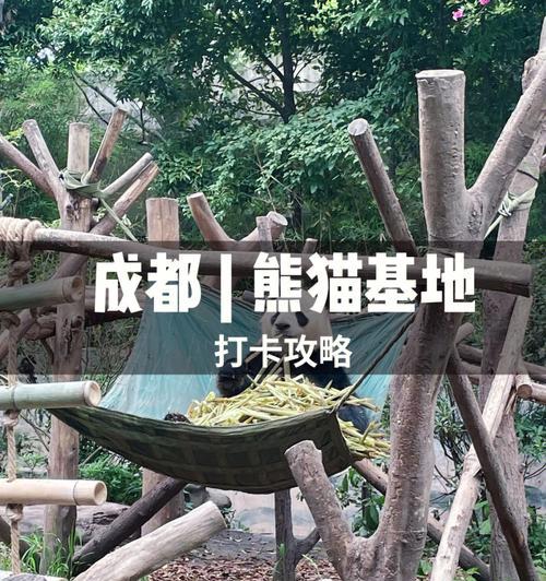 大神黑豹最新版出装攻略大揭秘！（以大神黑豹出装最新版攻略为主题，全面解析黑豹如何称霸战场）