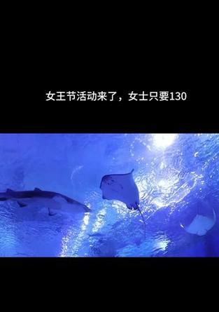 女神岛攻略（深入女神岛，揭开海洋游戏的秘密）