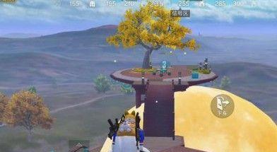 《和平精英》月兔取消跟随设置方法（教你如何取消月兔自动跟随玩家，提升游戏体验）