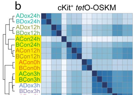 《玩转24小时游戏脚本攻略》（解锁游戏世界的秘密，提升游戏技巧的终极指南）