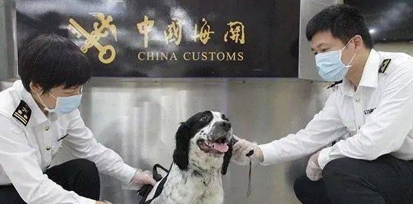 以检疫站游戏攻略（如何在游戏中保护城市免受疾病威胁？）