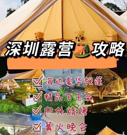 激情生活手游攻略（揭秘新手如何在游戏中体验激情生活，一起来开启冒险之旅吧！）