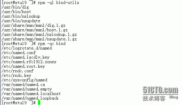 DNS解析完整版教程