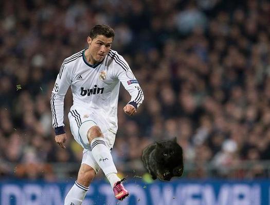 闪电鲨鱼出装攻略（掌握最新出装方案，成为震慑敌方的恐怖力量）