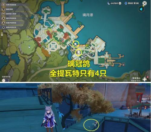 原神沙狐捕捉位置攻略（探寻沙漠中的神秘动物，让你的旅程更加丰富多彩！）